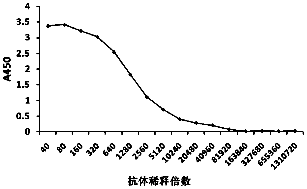 Recombinant antigen protein for detecting dengue 2 type virus antibody, kit and application of recombinant antigen protein