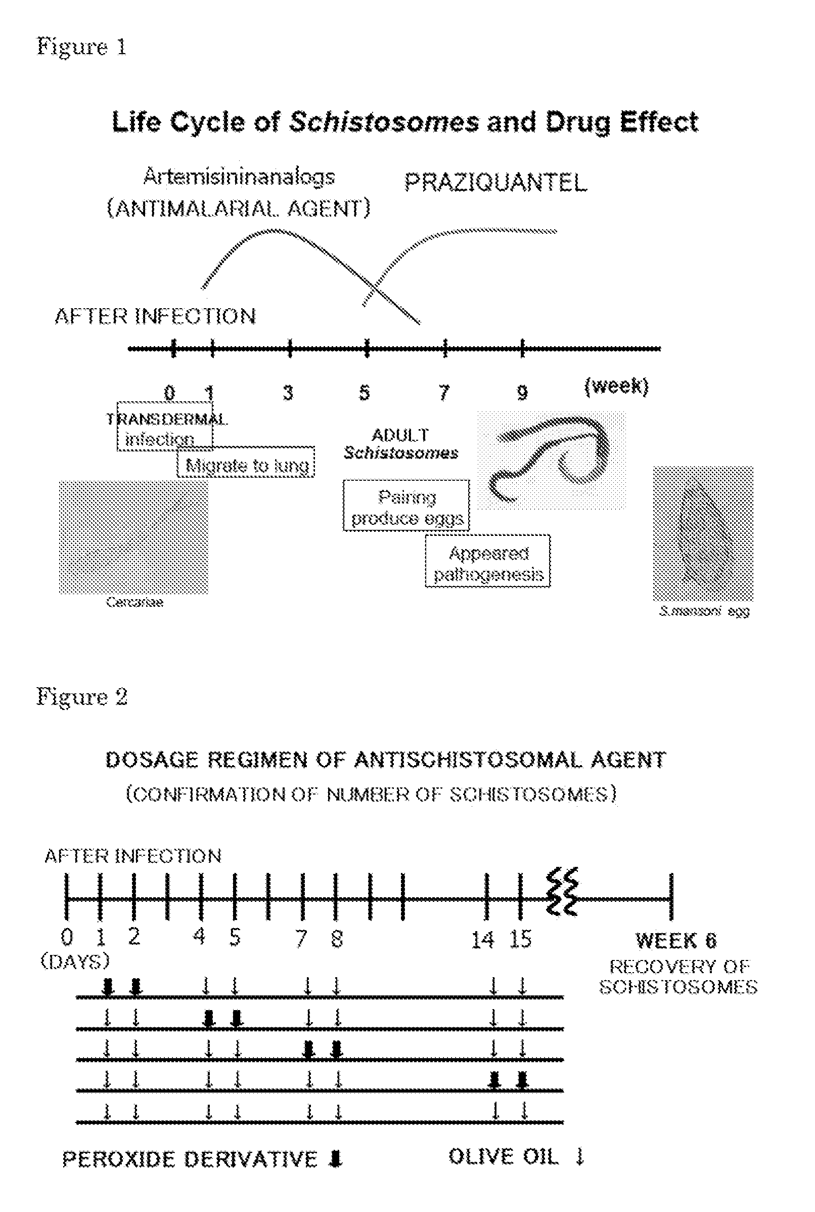 Novel Antischistosomal Agent