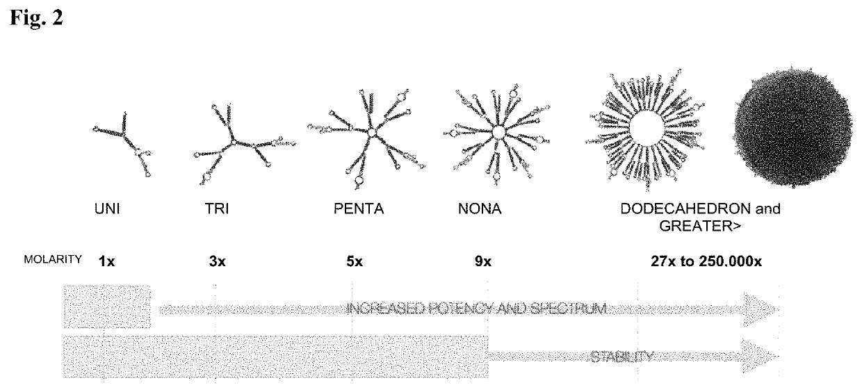 Polynucleotide nanoparticles for the modulation of gene expression and uses thereof