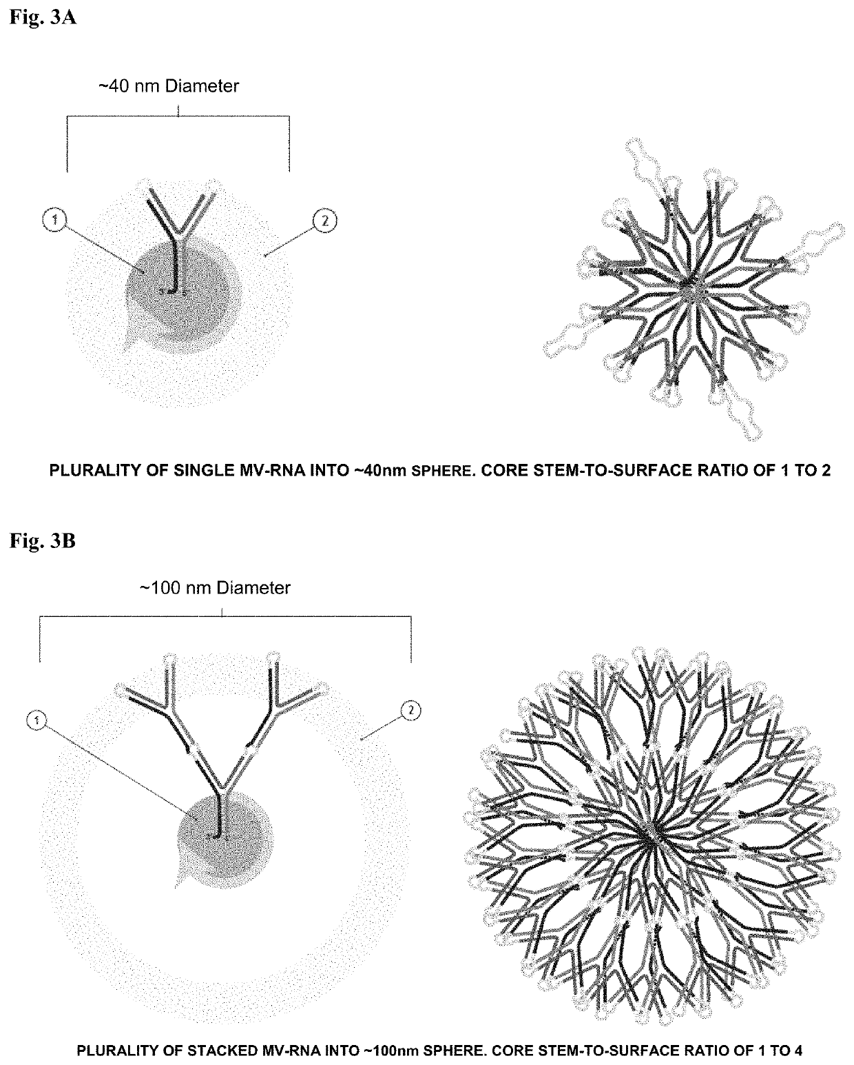 Polynucleotide nanoparticles for the modulation of gene expression and uses thereof