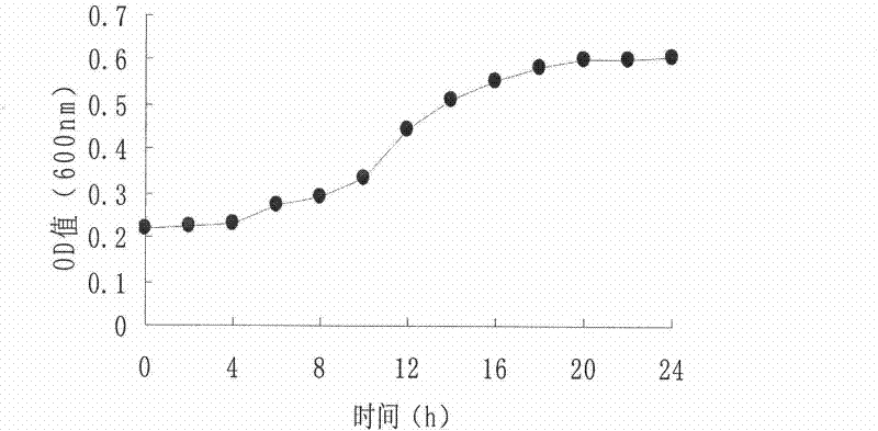 Staphylococcus epidermidis and application thereof in producing fermented segmental pork