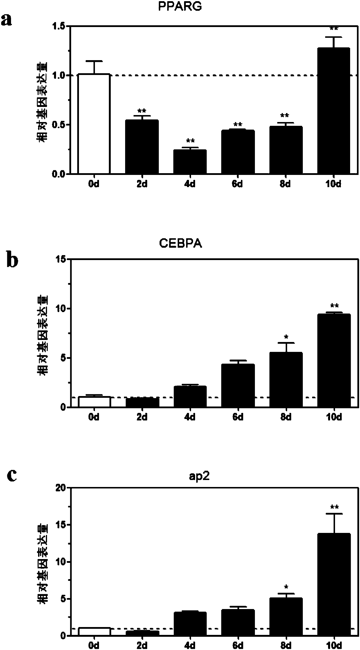 Separation, culture and induction differentiation method for precursor adipocyte in chicken muscle