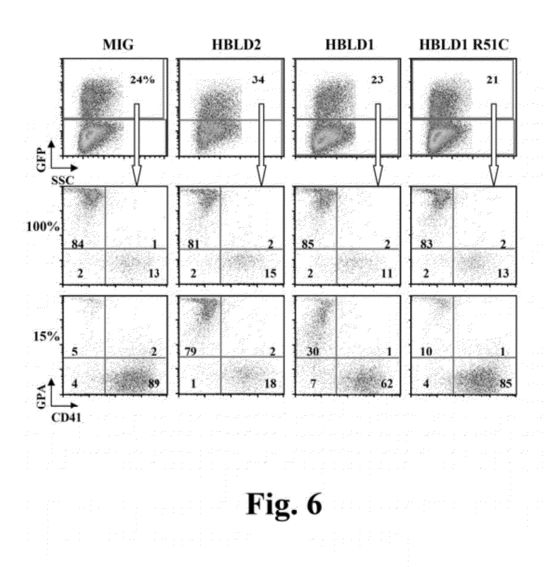 Methods and Compounds Regulating the Erythroid Response to Iron Deficiency