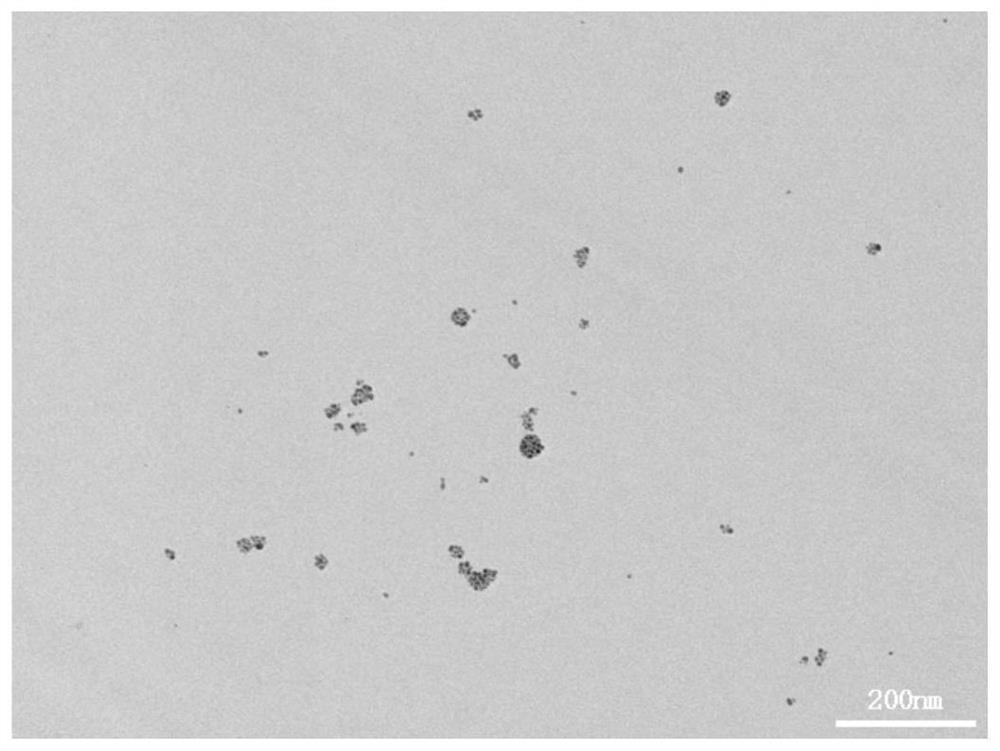 A kind of nano-cluster with bactericidal effect and its preparation method and application