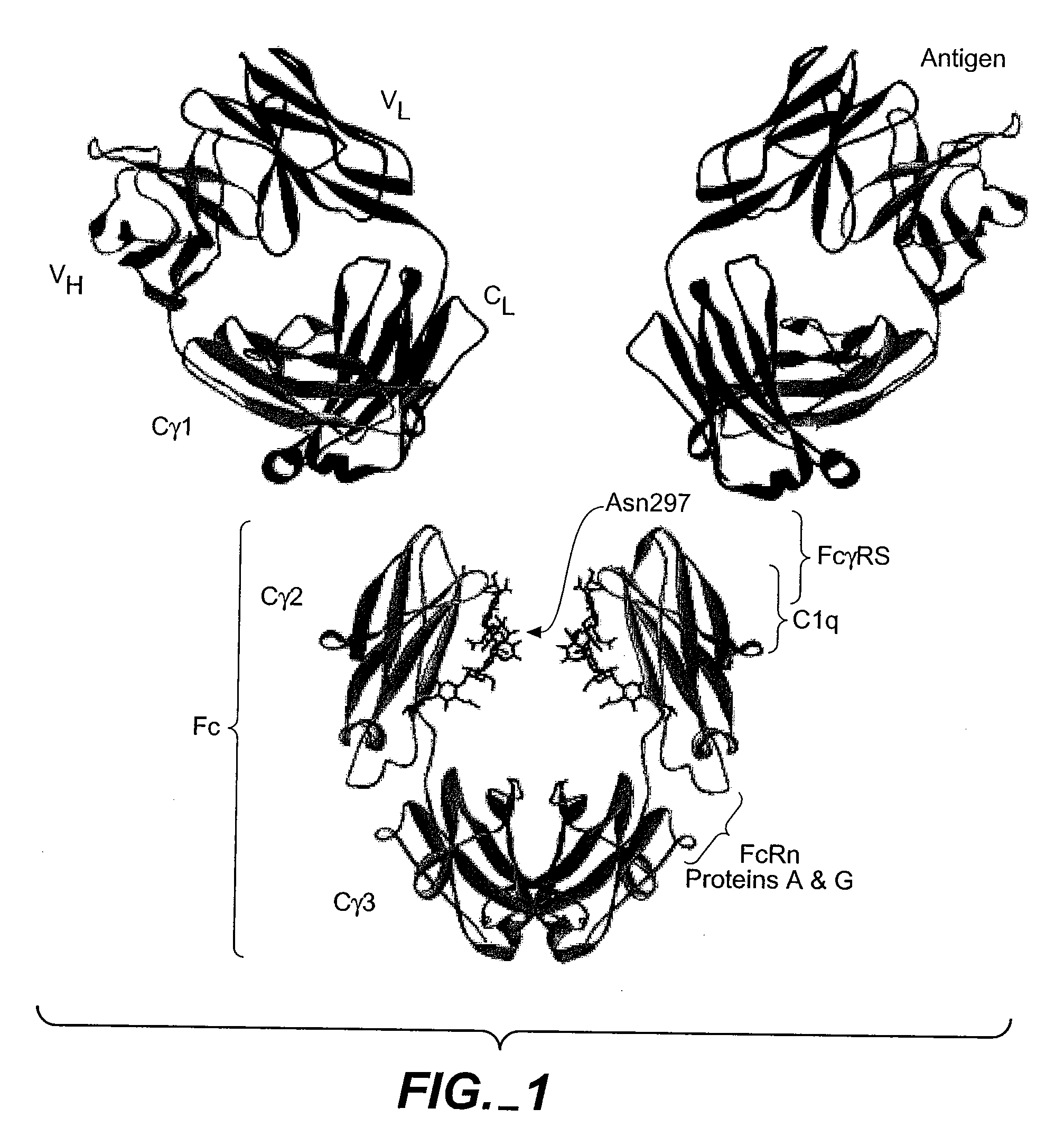 Optimized Fc variants and methods for their generation