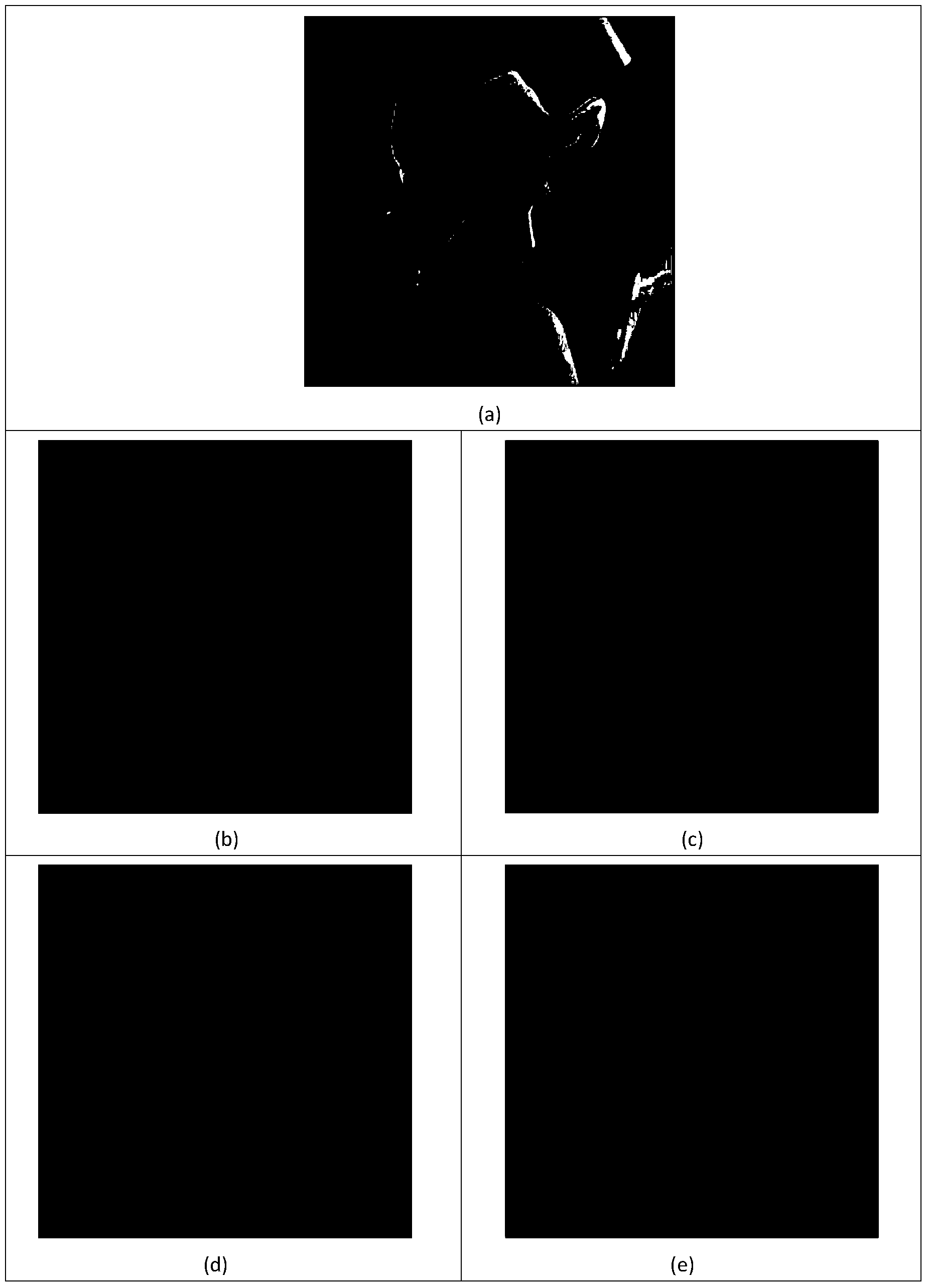 Gray level image segmentation method based on multi-objective fuzzy clustering