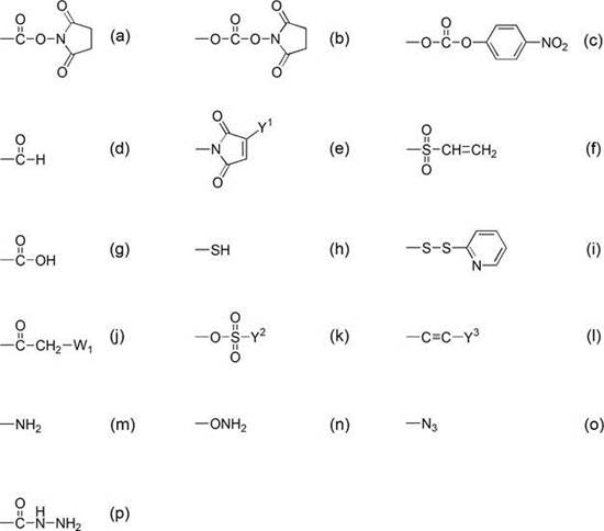 Asymmetric branched-chain degradable polyethylene glycol derivative