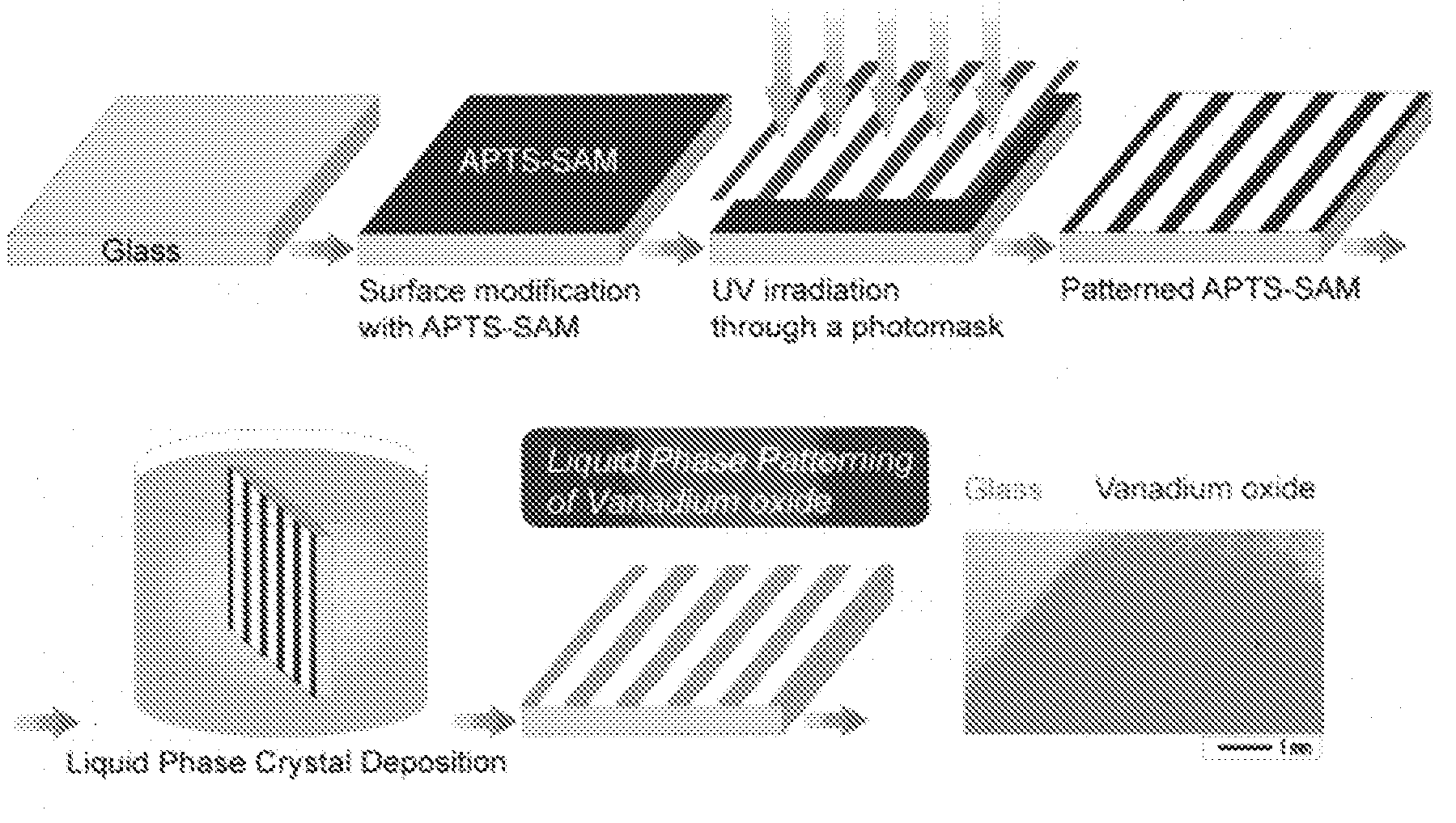 Vanadium Oxide Thin Film Pattern and Method of Fabricating the Same