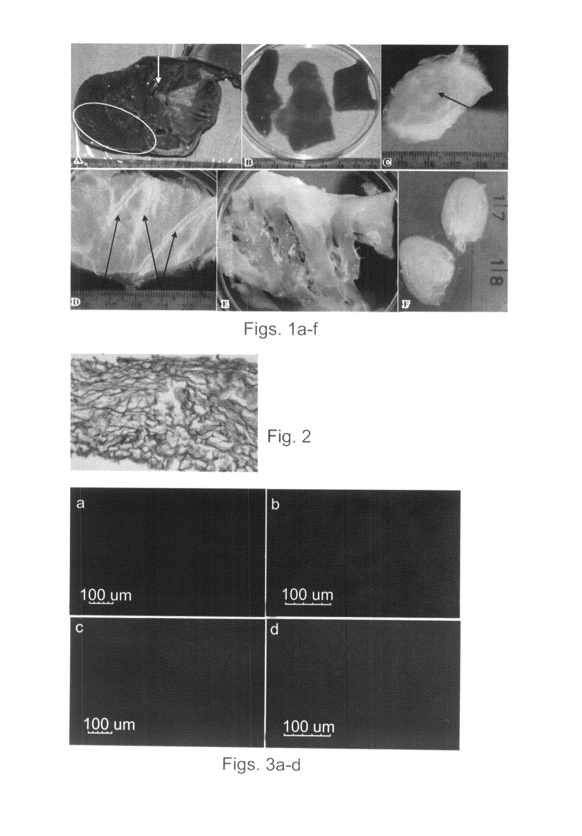 Natural tissue-derived decellularized matrix and methods of generating and using same