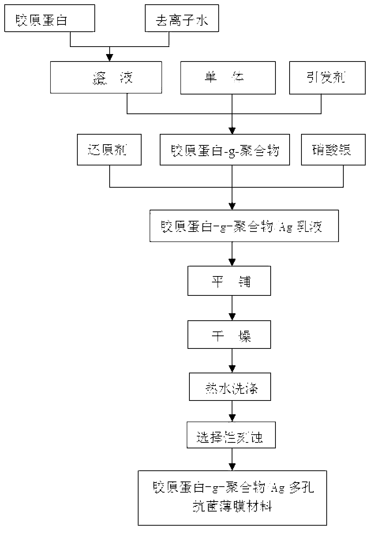 Collagen-g-polymer/Ag multi-hole nano antibacterial film material and preparation method thereof
