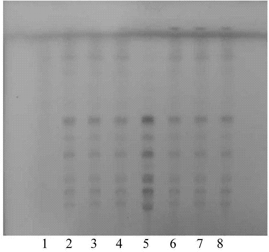 Spleen invigorating product and detection method thereof