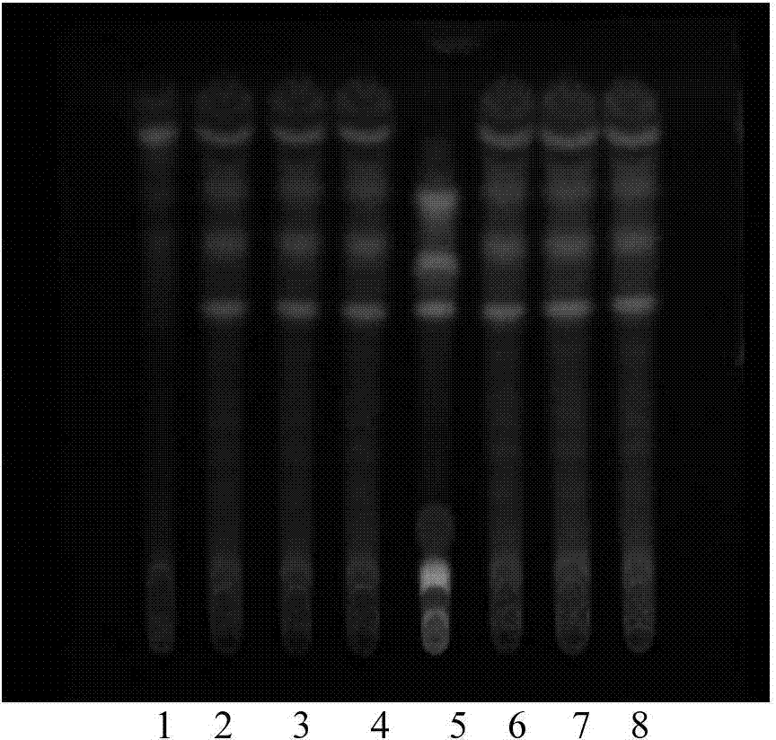 Spleen invigorating product and detection method thereof