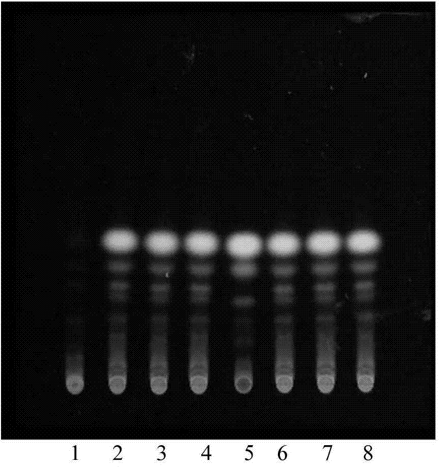 Spleen invigorating product and detection method thereof