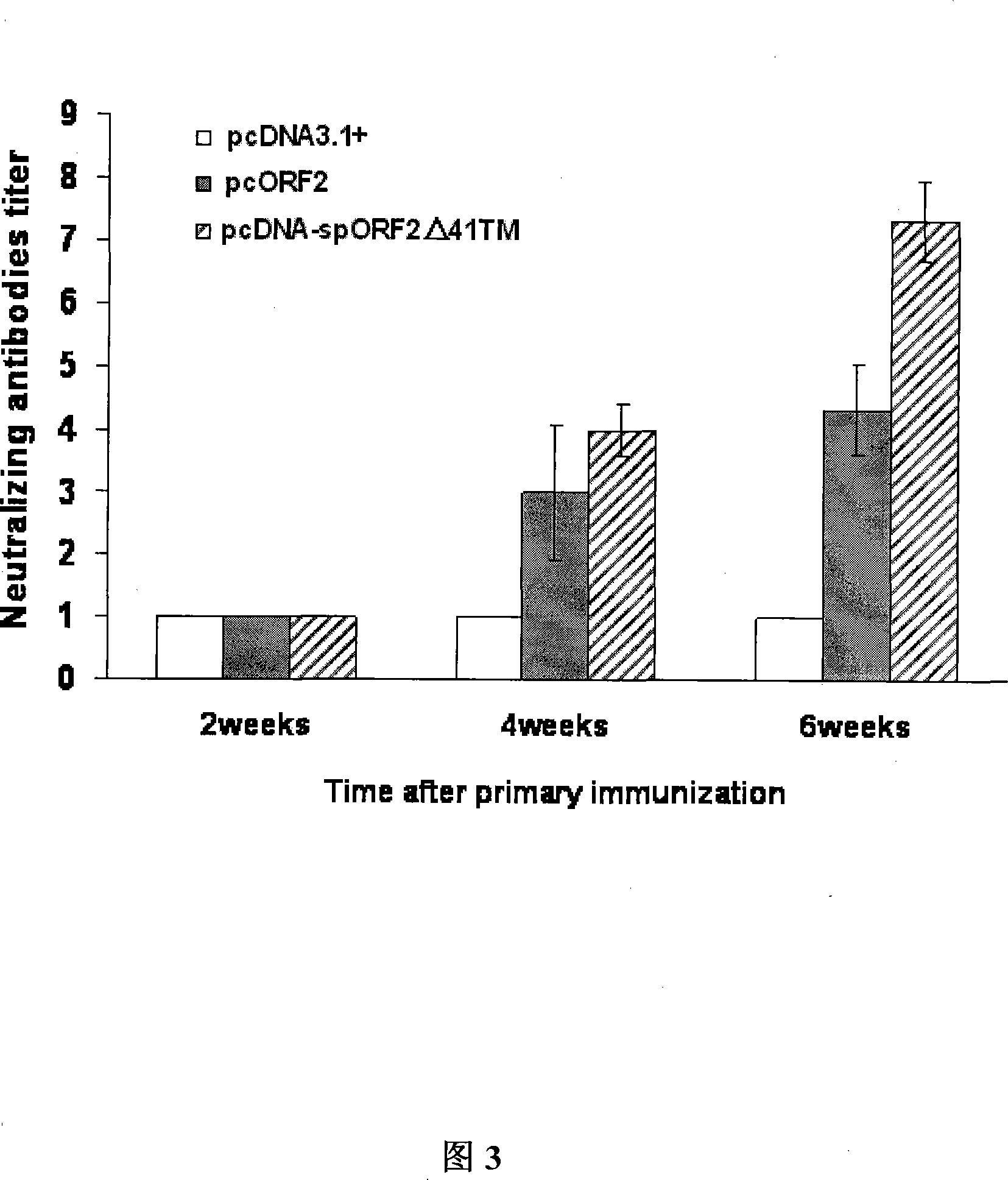 Modified ORF2 gene of toroidal virus of pig, and application
