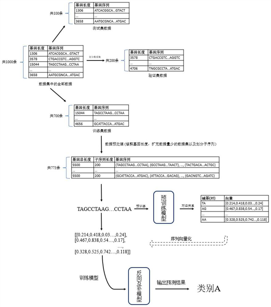 Biological sequence processing and model training method