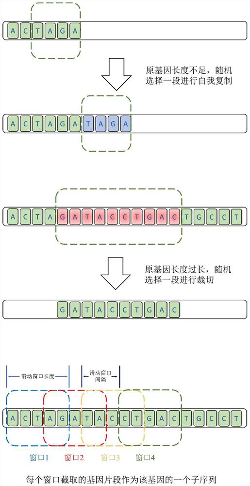 Biological sequence processing and model training method