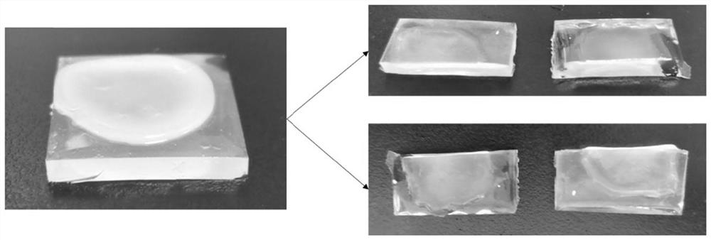 Medical catheter hydrogel coating as well as preparation method and application thereof