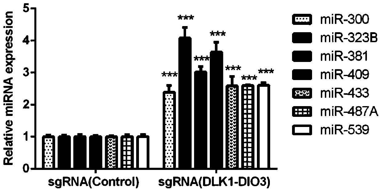 sgRNA for up-regulating non-coding RNA expression in human DLK1-DIO3 imprinted domain, recombinant plasmid and cell line