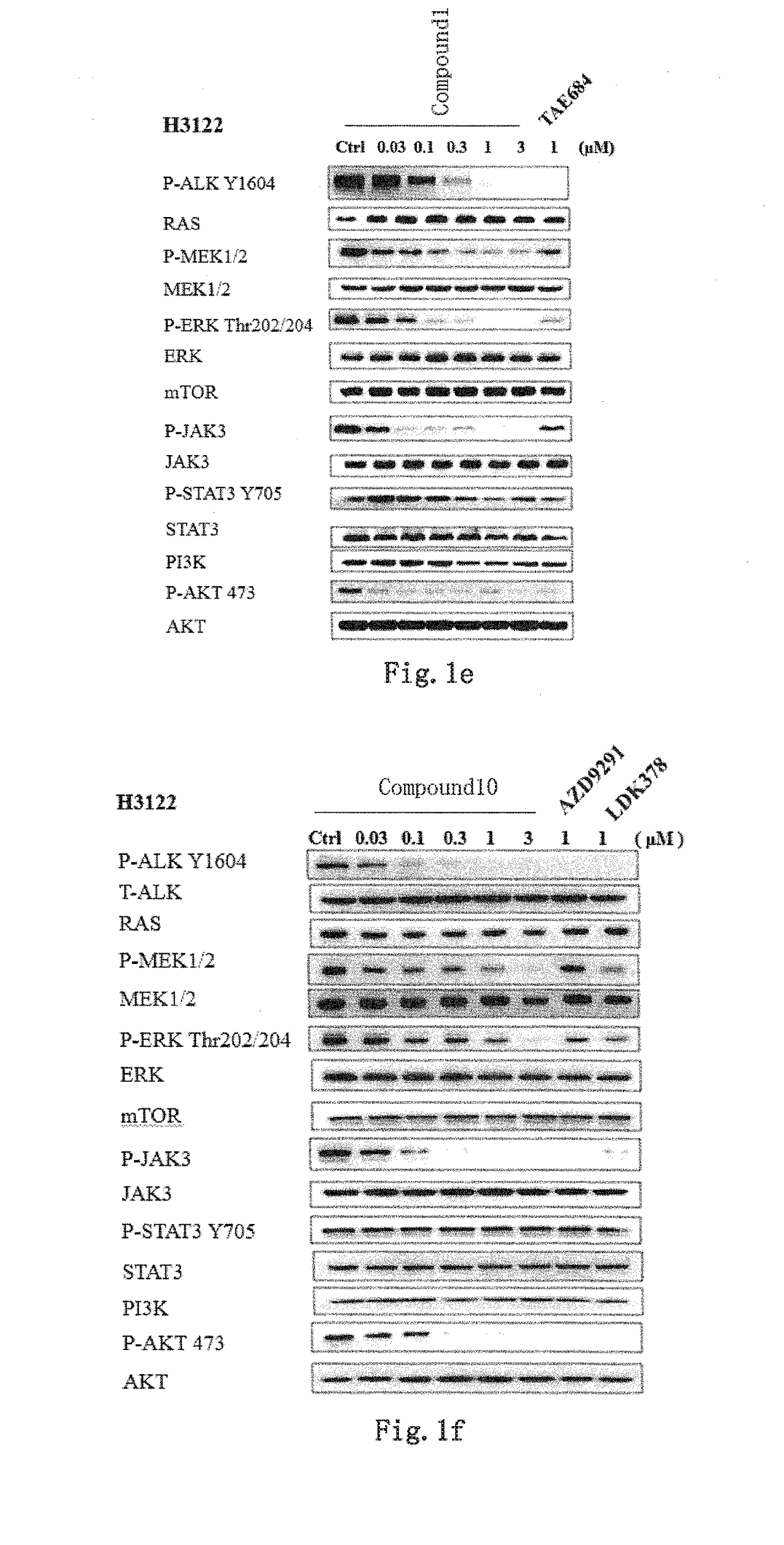 Novel EGFR and alk dual inhibitor