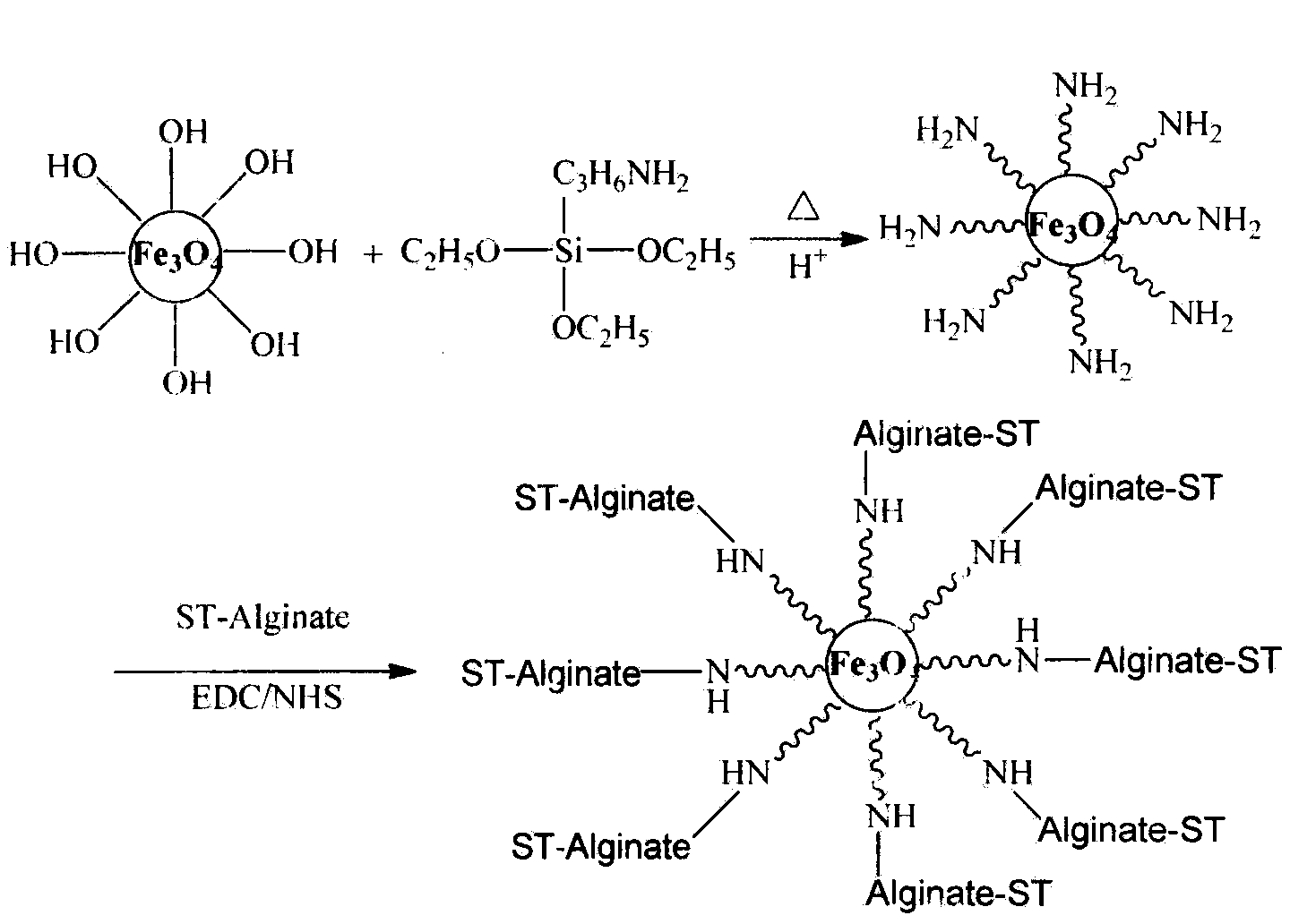 Magnetic modified sodium alginate flocculating agent