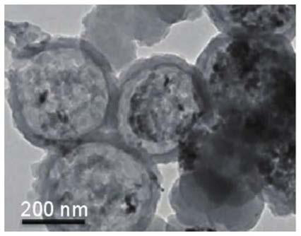 Magnetic beads for detection of COVID-19 and preparation method of magnetic beads