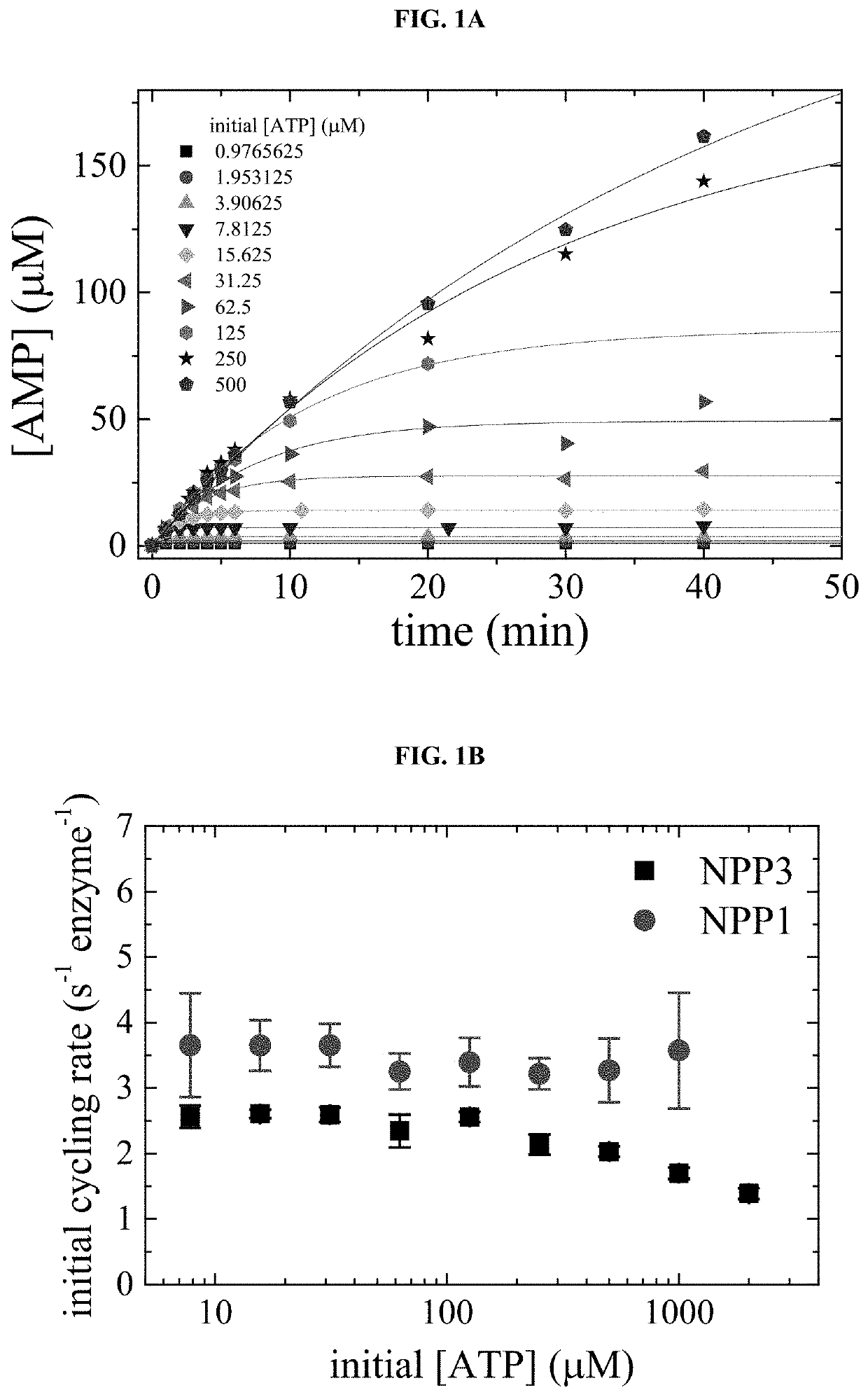 Compositions for Treating Ectopic Calcification Disorders, and Methods Using Same