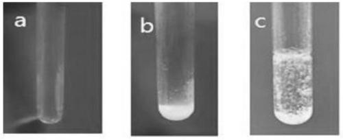 Method for treating salt lake brine by using serpentine