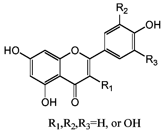 A functional purslane composition and its application in daily chemicals