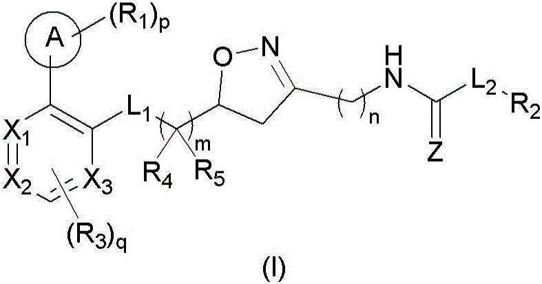 4,5-dihydroisoxazole derivatives as NAMPT inhibitors