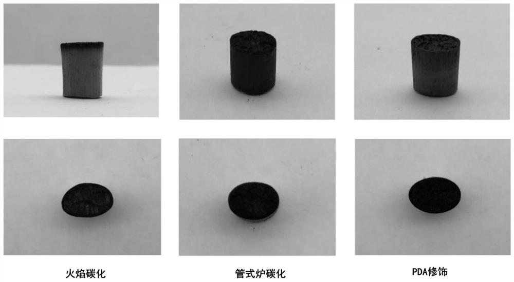 Photo-thermal conversion material based on thalia dealbata stems, and preparation method and application thereof