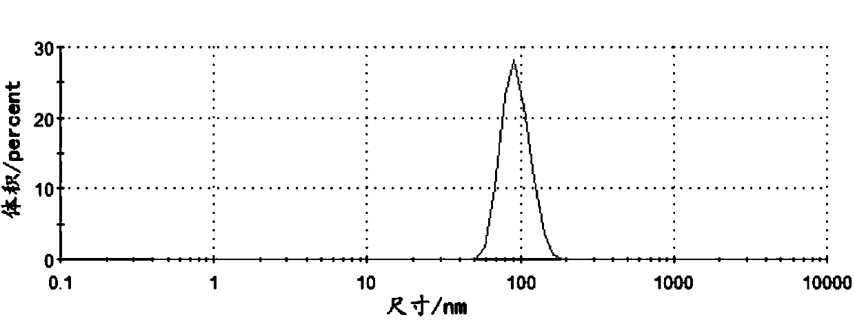 Nano magnetic polymer microsphere and preparation method thereof