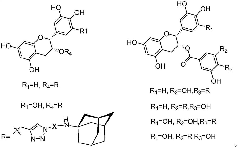 Catechin-amantadine conjugate and its preparation method and application