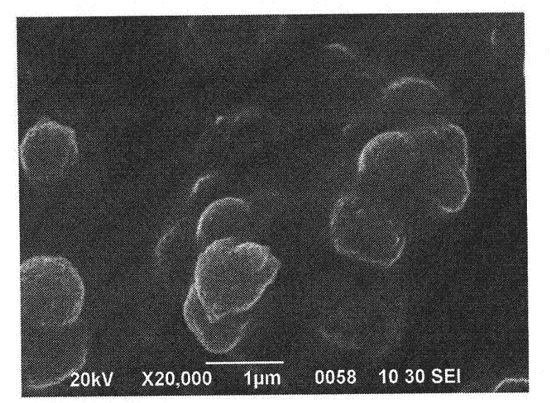 Mesoporous silica particle compound carrier with controlled-release function as well as preparation method and application thereof
