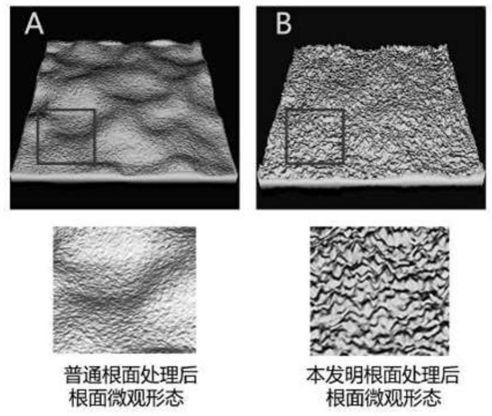 Tooth root surface treating agent