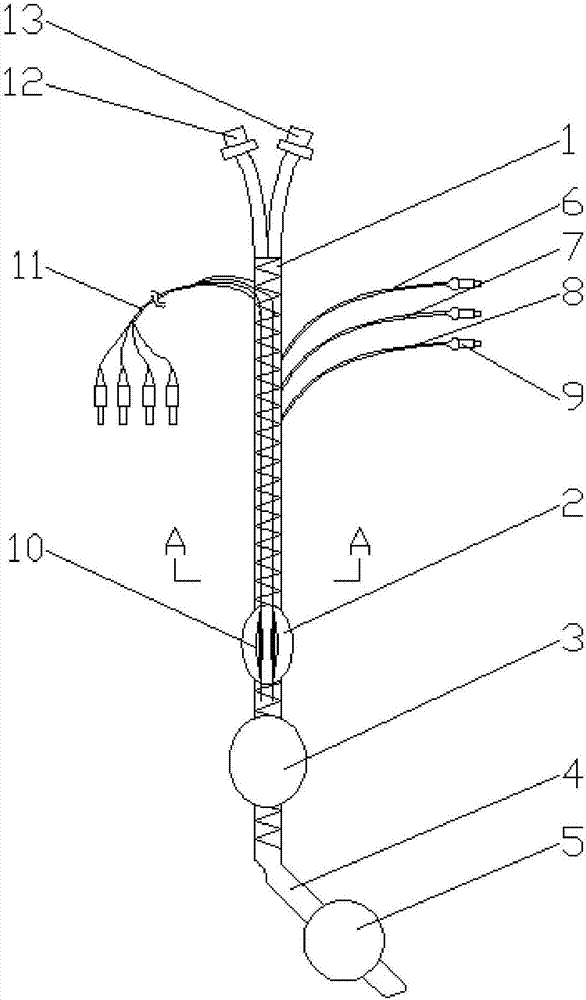 Cystic electrode nerve monitoring double-lumen tube intubation device