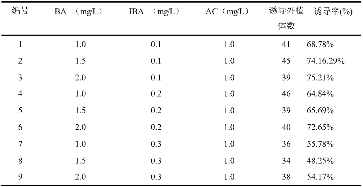 Tissue culture method for Hudieying