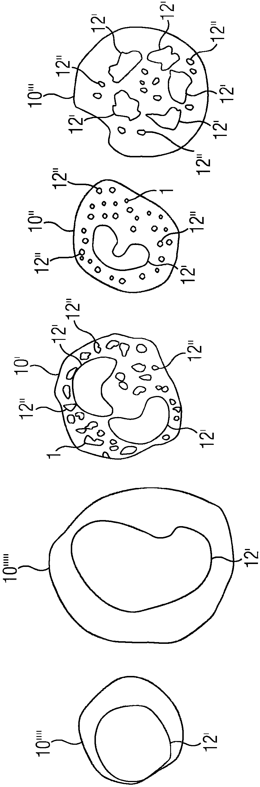 An In Vitro Method for the Label-Free Determination of the Cell Type of Cells