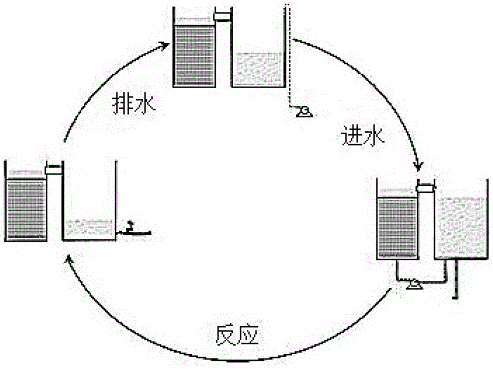 Sequential Batch Biofiltration Granular Reactor and Its Technology