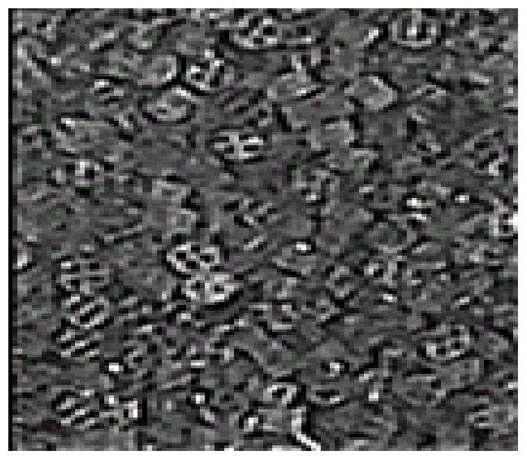 Sequential Batch Biofiltration Granular Reactor and Its Technology