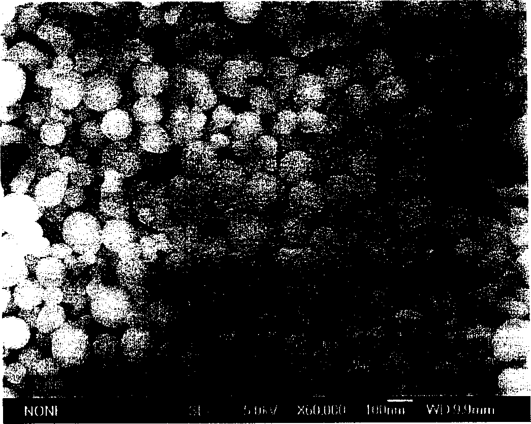 Ph sensing controlable nanometer particle carried with 5-fu and its prepn. method