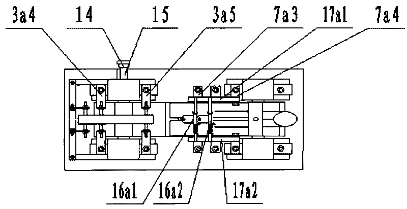Belt type precision seed-metering device for rape