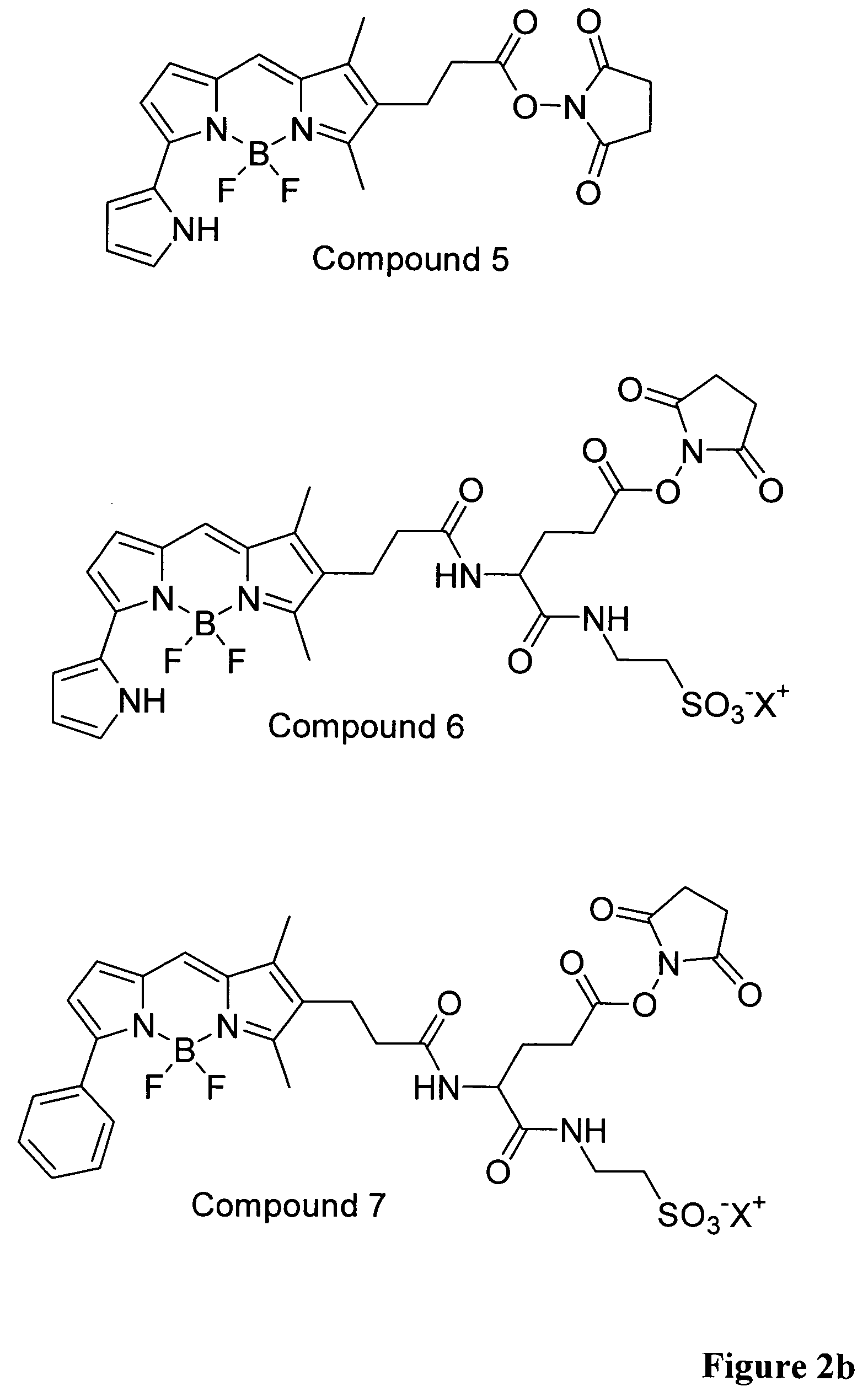 Method for increasing hydrophilicity of fluorescent label compounds