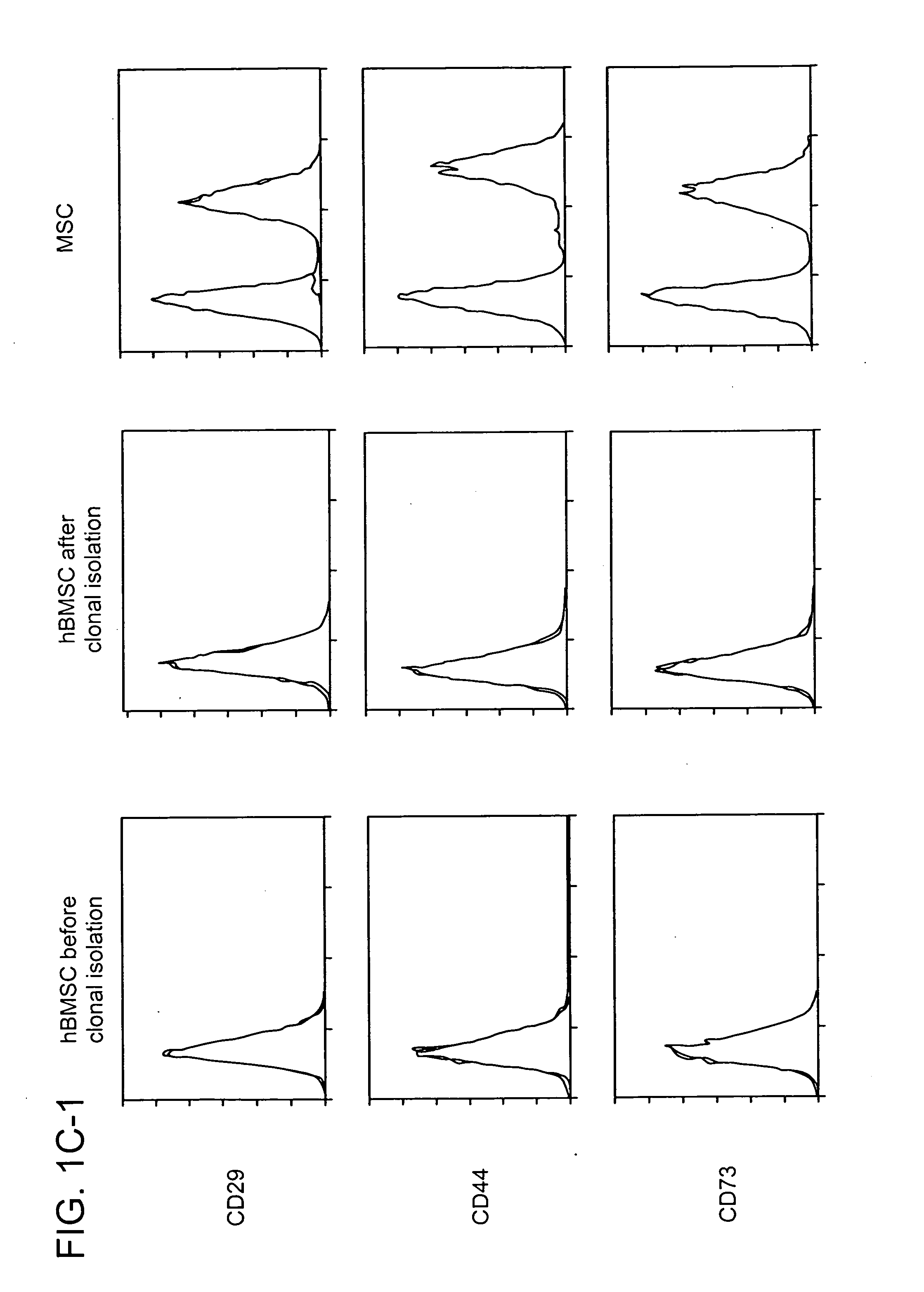 Novel multipotent stem cells and use thereof