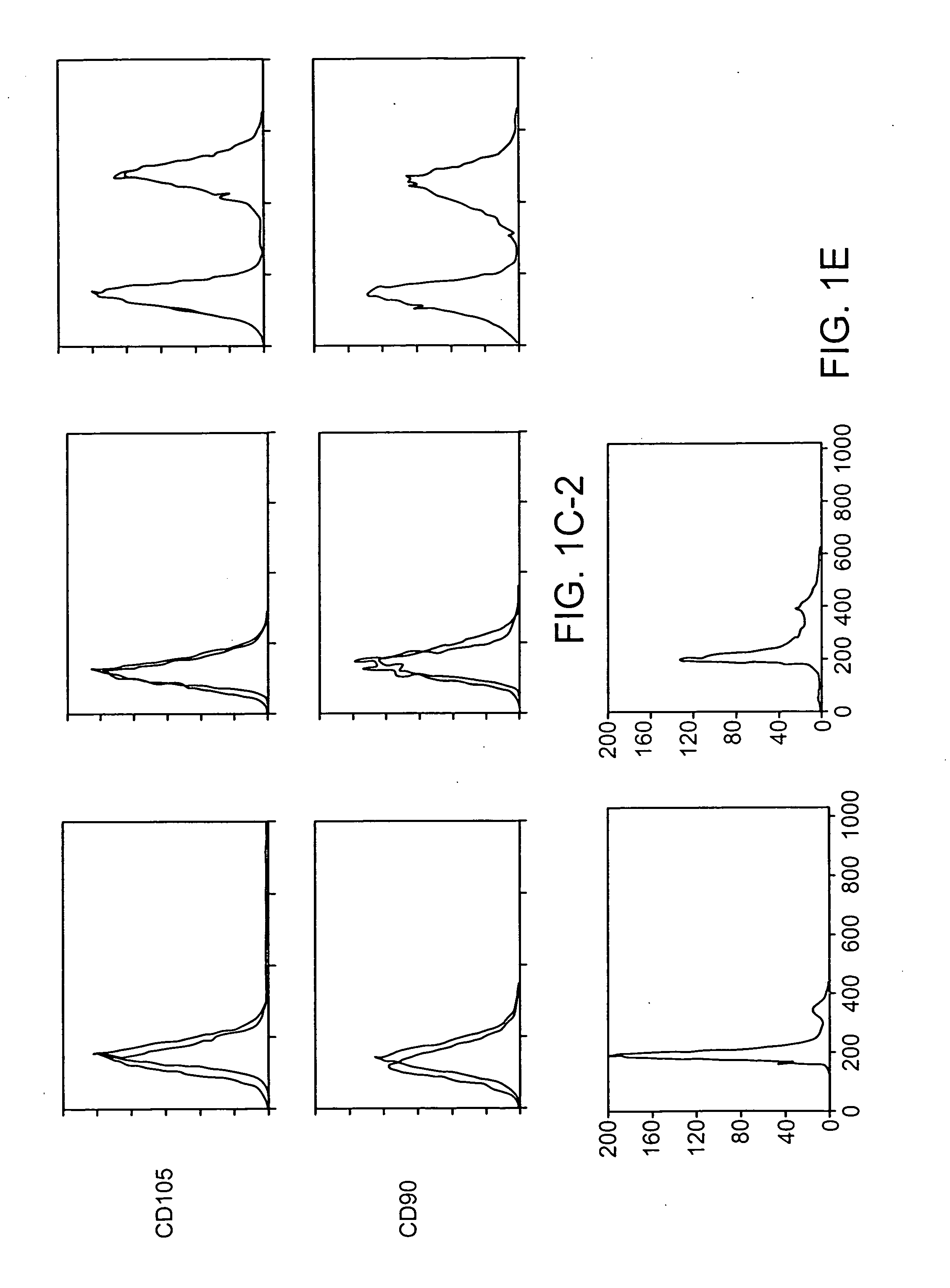 Novel multipotent stem cells and use thereof
