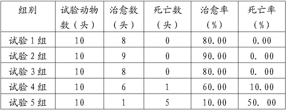 Drug for preventing and treating livestock and poultry diarrhea and preparation method of drug