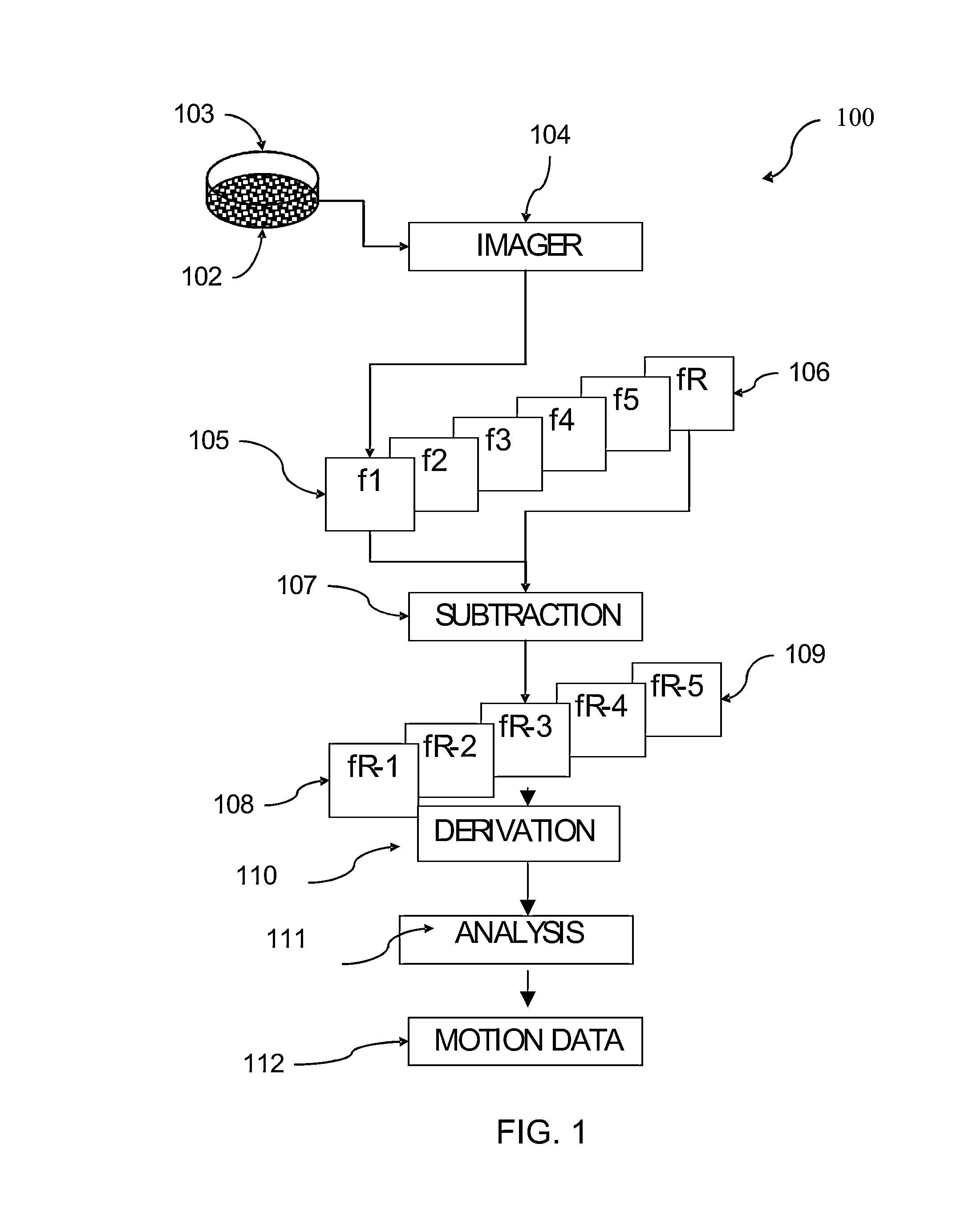 System and method for determining motion of a biological object