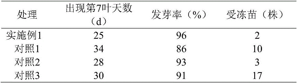 Method for rapid breeding of winter rape seedlings