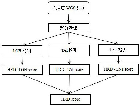 A method for evaluating hrd score based on low-depth wgs