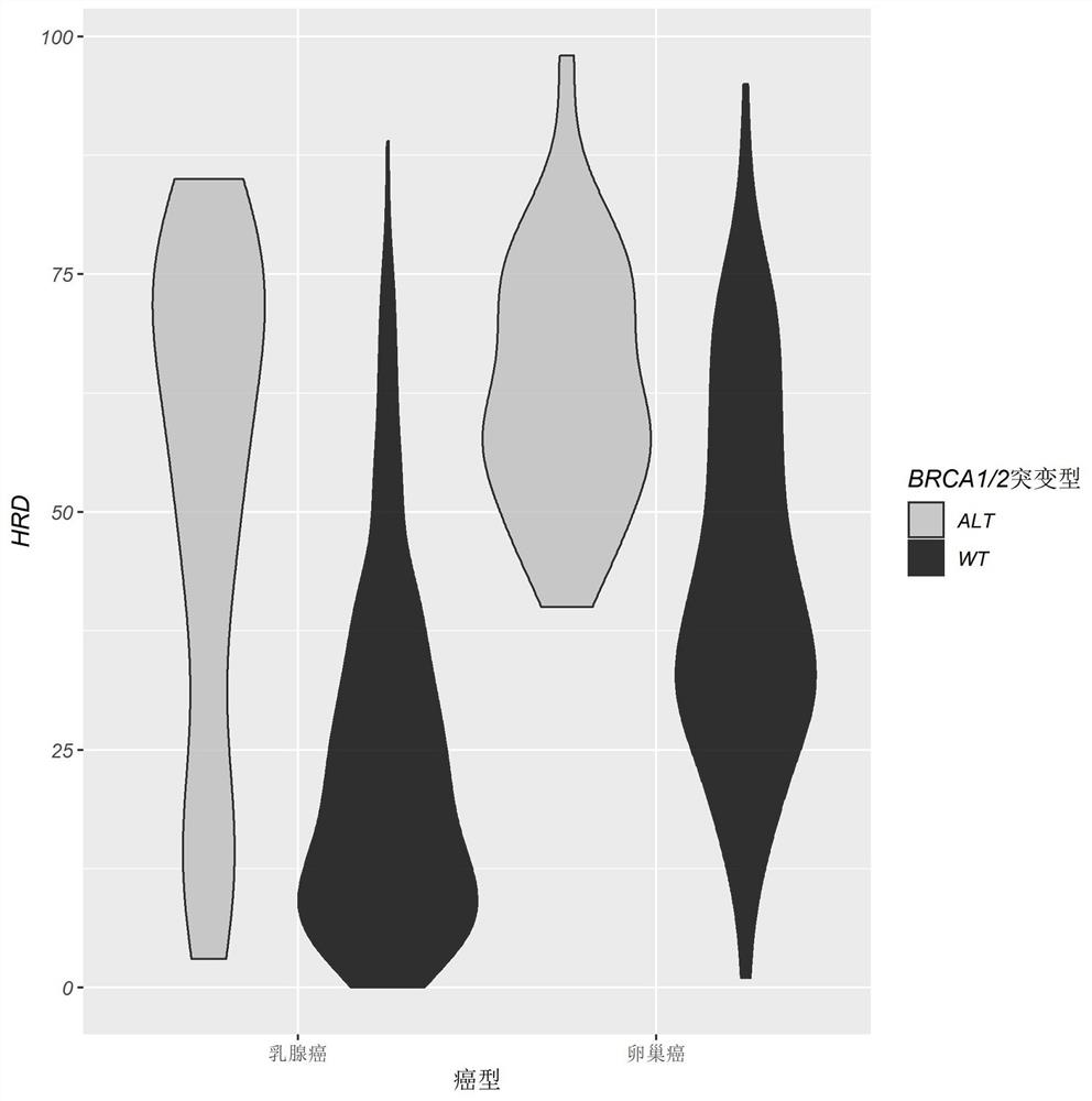 A method for evaluating hrd score based on low-depth wgs