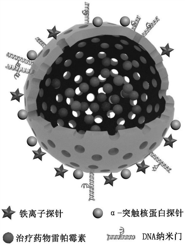 A kind of biological nanocomposite material and its synthesis method and application